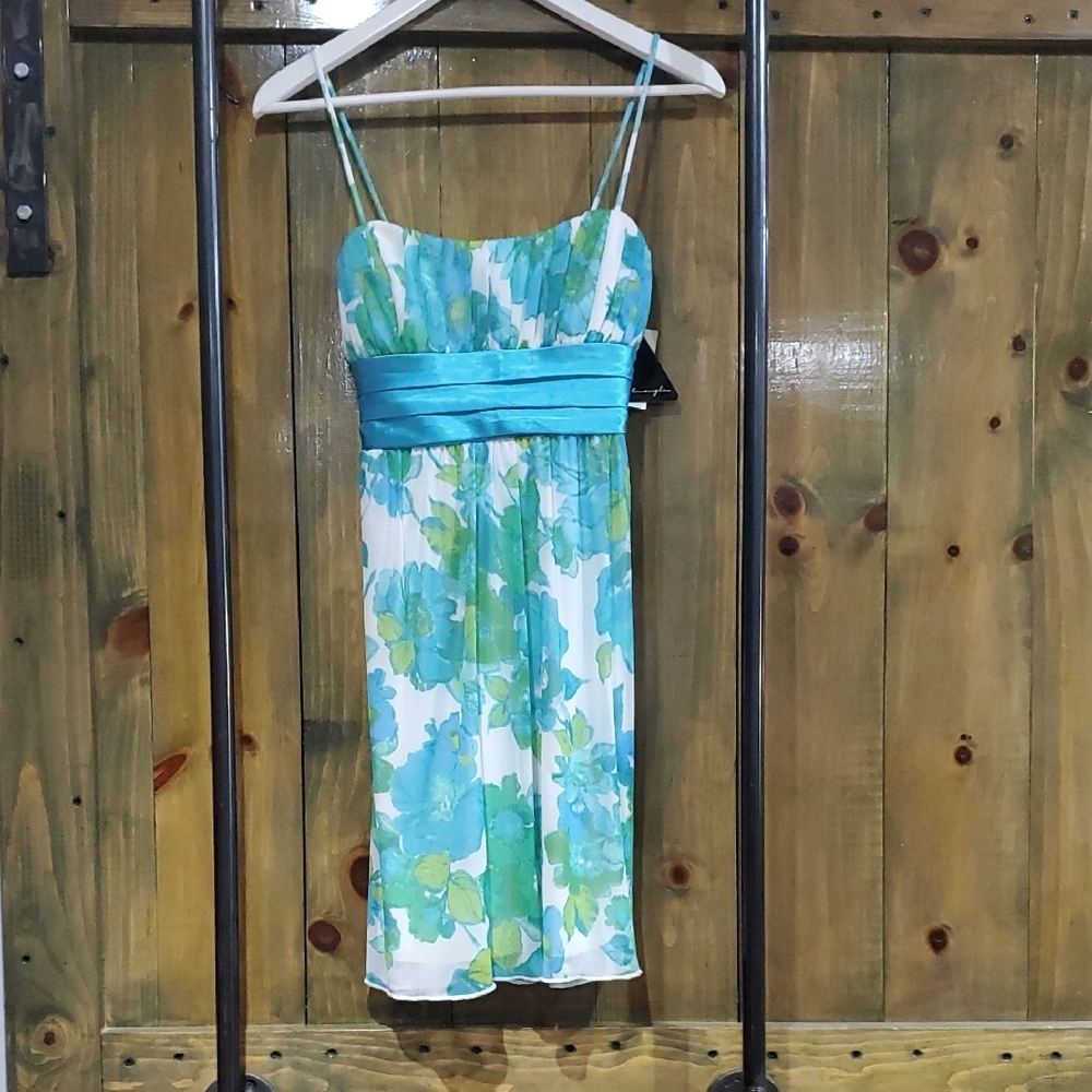 City Triangles Blue and Green Floral Mini Dress